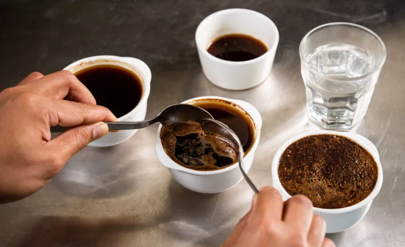 Cupping stock small 2